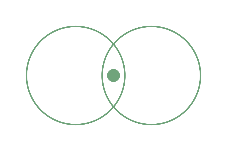 Two overlapping circles representing providers collaborating